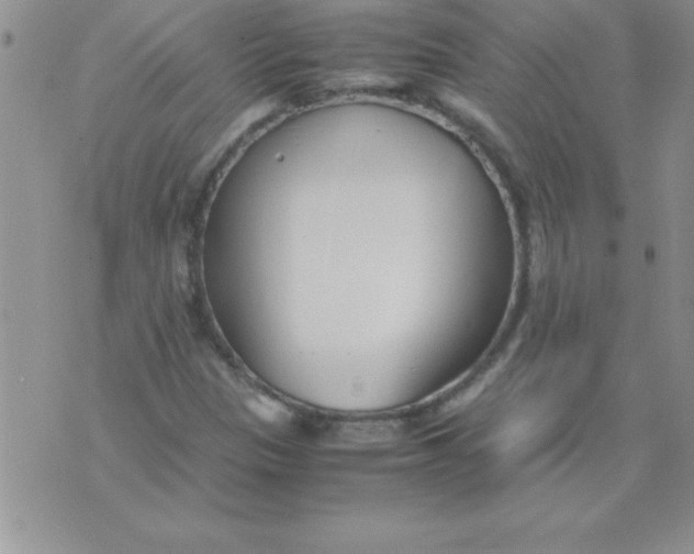 X0000071951305200607281958