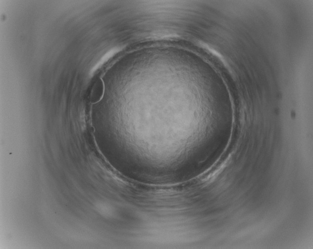 X0000071951306200607281958