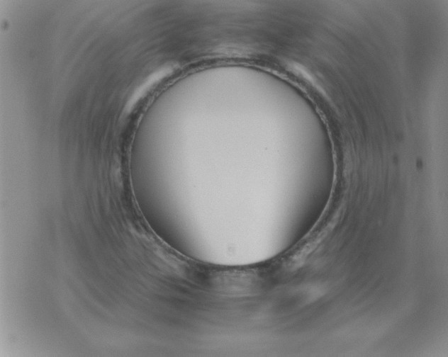 X0000071951307200607281958