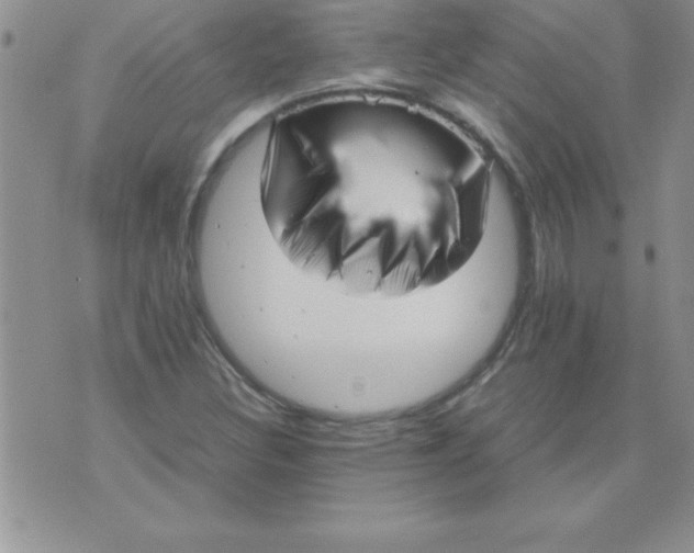 X0000071951308200607281958