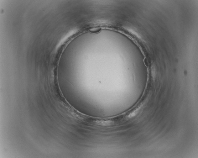 X0000071951309200607281958