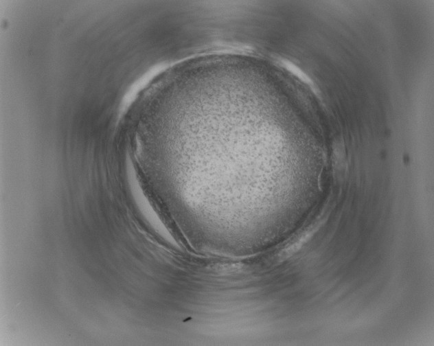 X0000071951310200607281958