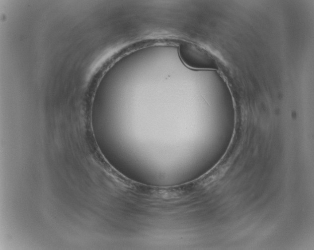 X0000071951311200607281958