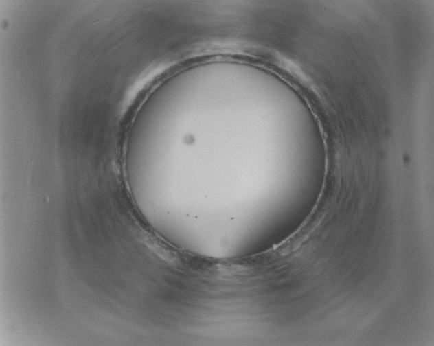 X0000071951312200607281958