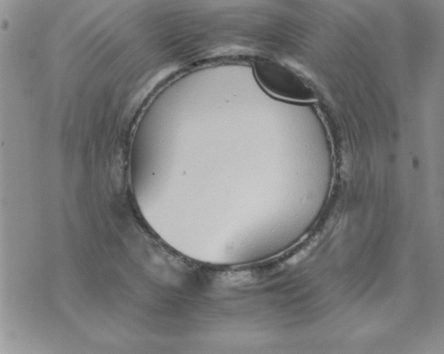 X0000071951313200607281958