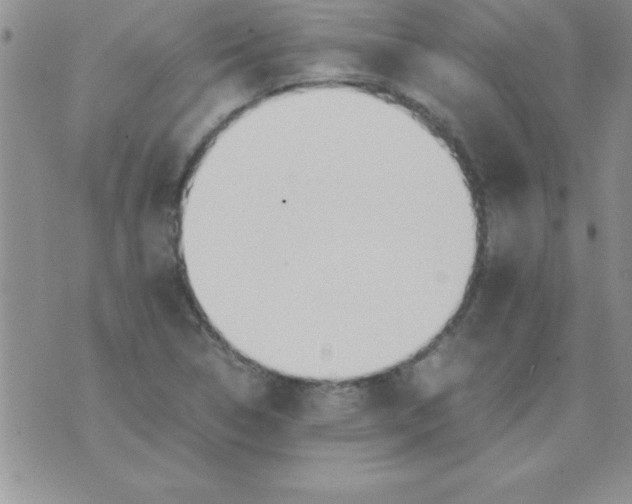 X0000071951314200607281958