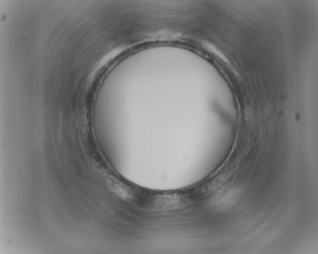 X0000071951315200607281958