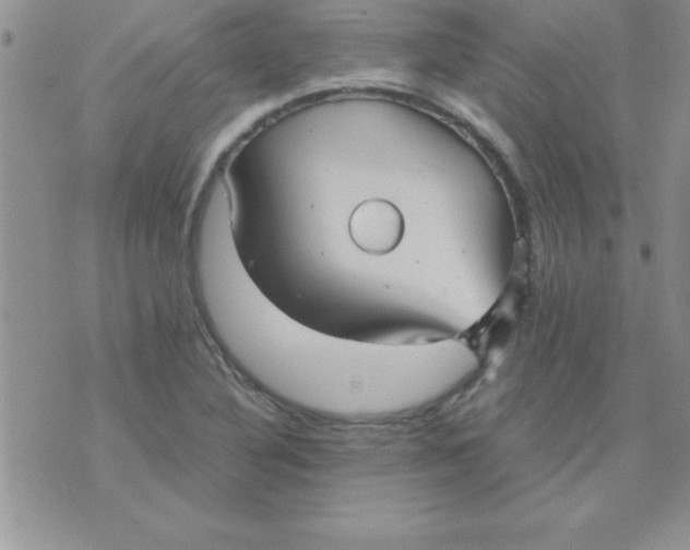 X0000071951316200607281958