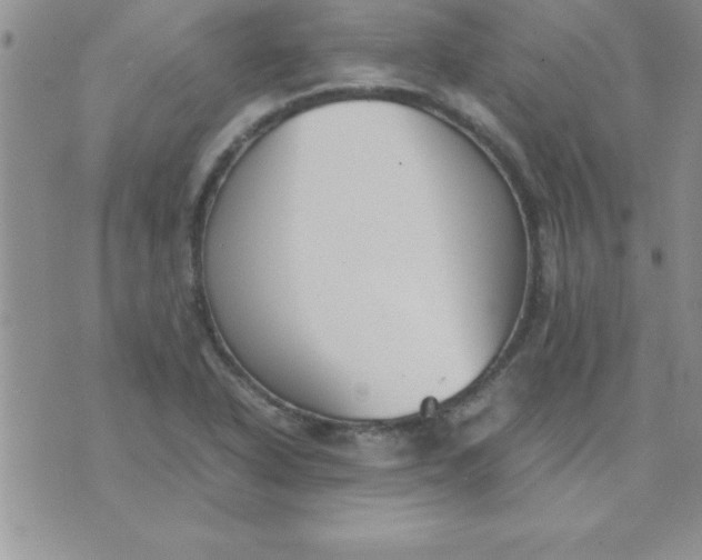 X0000071951318200607281958