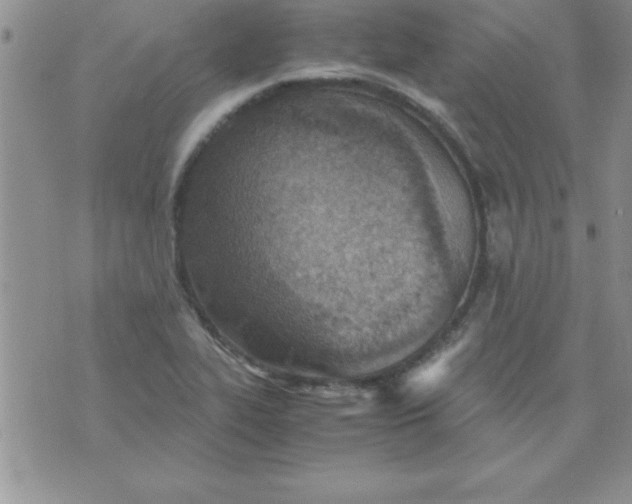 X0000071951319200607281958