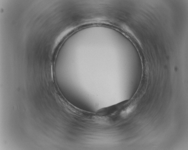 X0000071951320200607281958