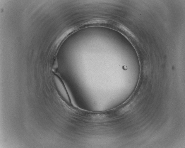 X0000071951321200607281958