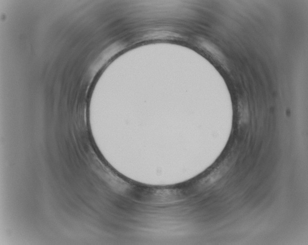 X0000071951322200607281958