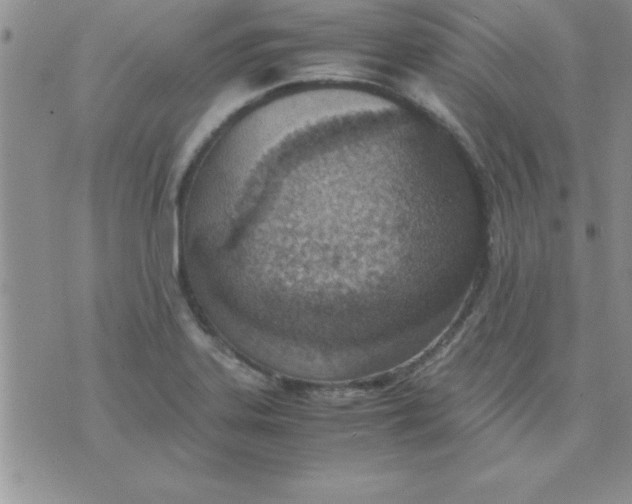 X0000071951323200607281958