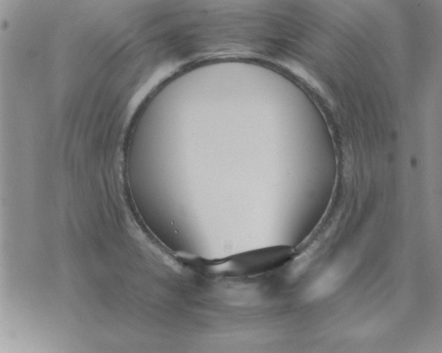 X0000071951325200607281958