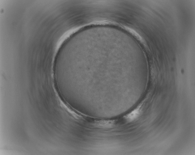 X0000071951327200607281958