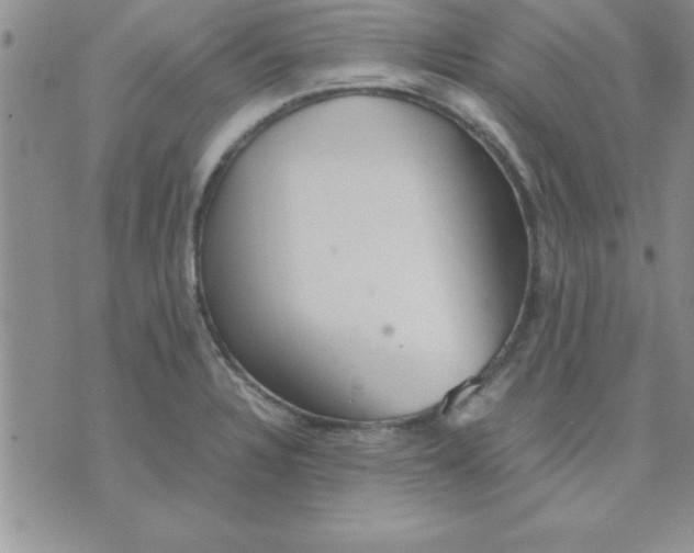 X0000071951328200607281958