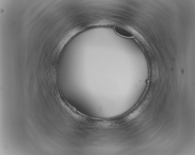 X0000071951329200607281958