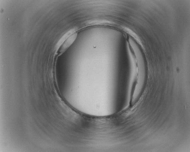 X0000071951330200607281958