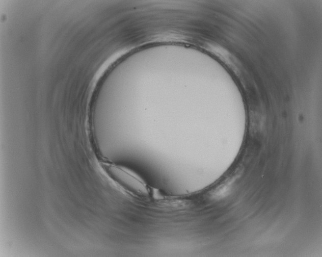 X0000071951331200607281959