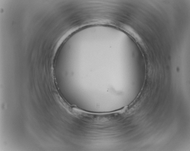 X0000071951332200607281959