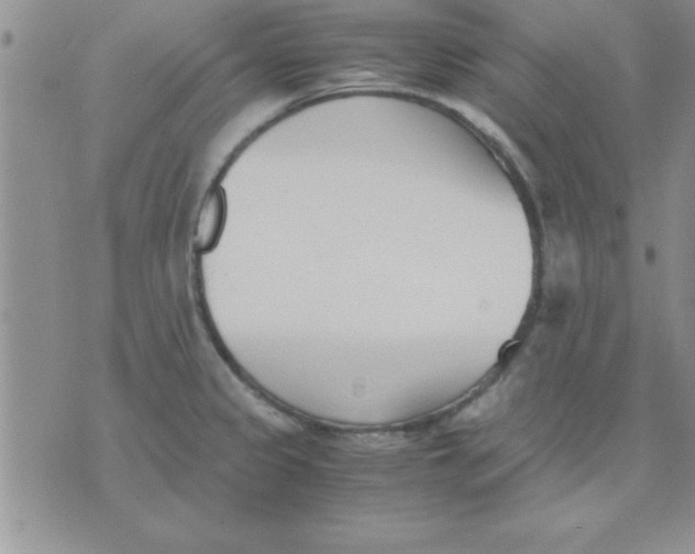 X0000071951333200607281959