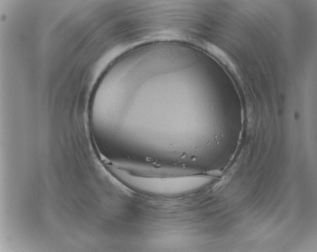 X0000071951334200607281959