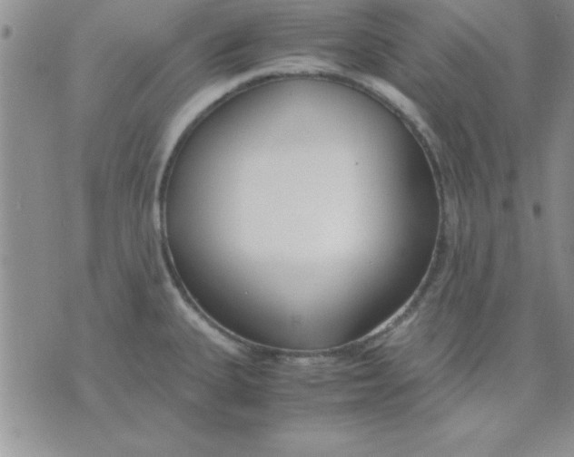 X0000071951335200607281959