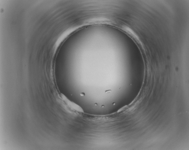 X0000071951336200607281959