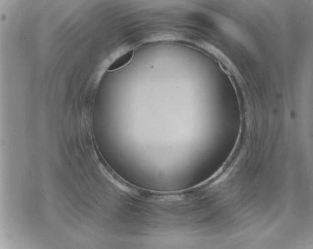 X0000071951337200607281959