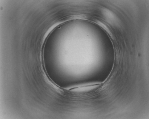 X0000071951339200607281959