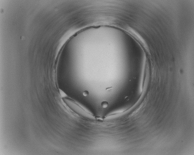 X0000071951340200607281959