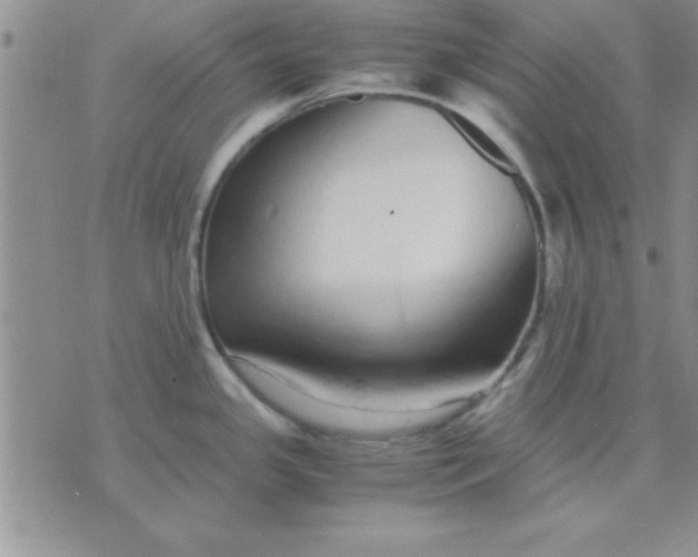 X0000071951341200607281959