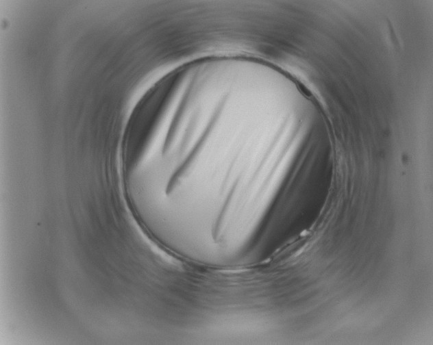 X0000071951343200607281959