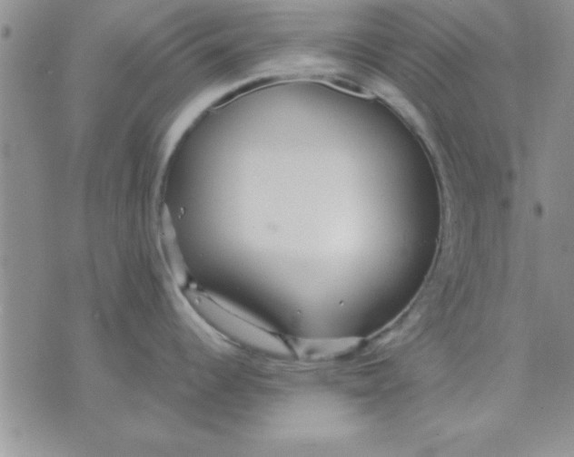 X0000071951344200607281959