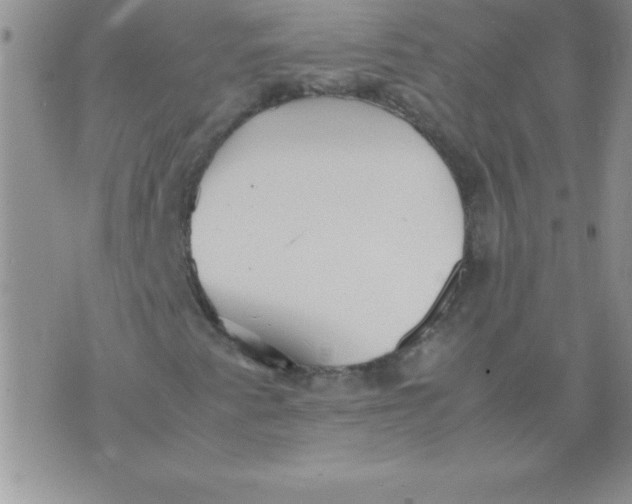 X0000071951345200607281958