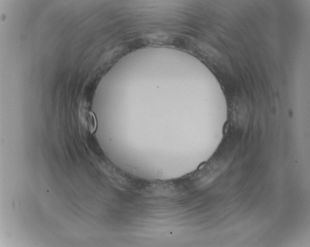 X0000071951346200607281958