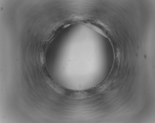 X0000071951348200607281958