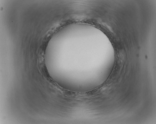 X0000071951349200607281958