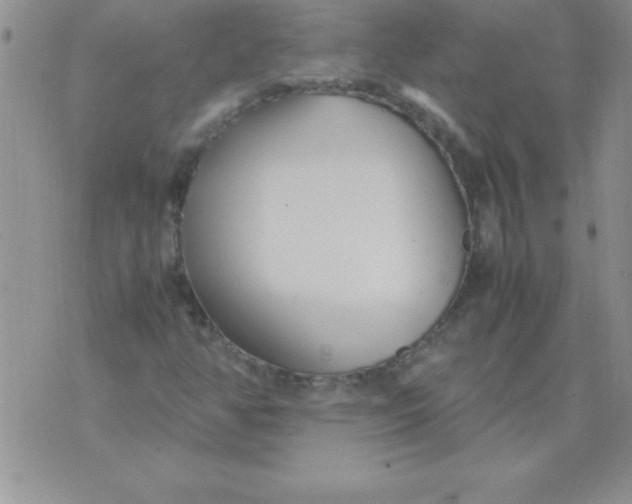 X0000071951350200607281958