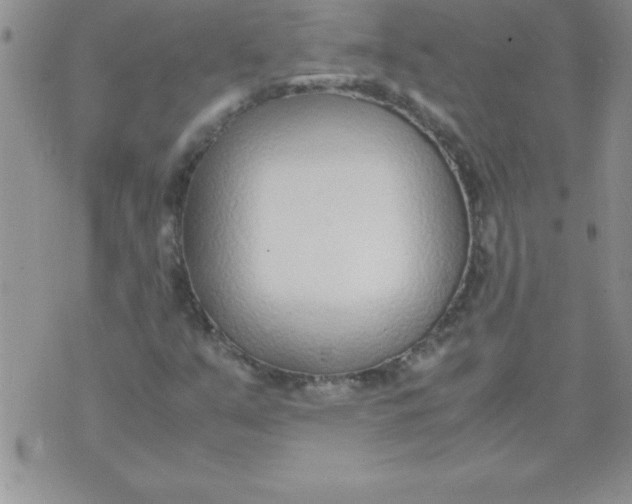 X0000071951351200607281958