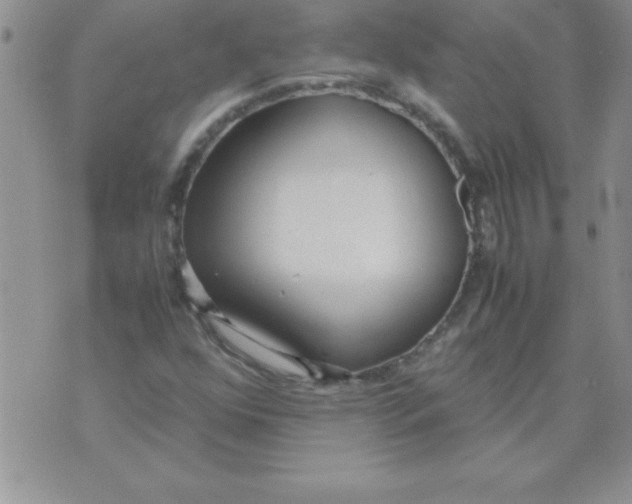 X0000071951352200607281958