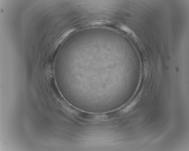 X0000071951353200607281958