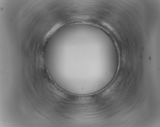 X0000071951354200607281958