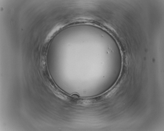 X0000071951355200607281958