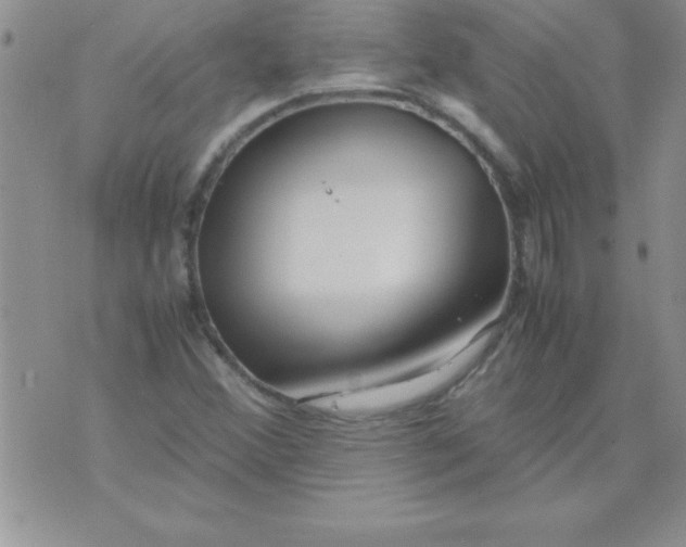 X0000071951356200607281958