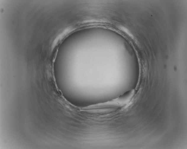 X0000071951357200607281958