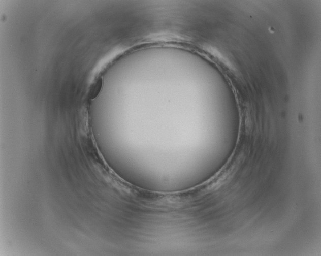 X0000071951358200607281958