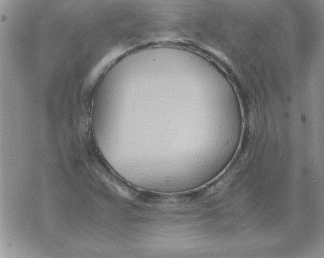 X0000071951359200607281958