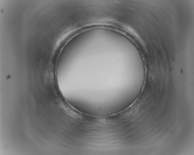 X0000071951360200607281958